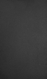 Stainless Steel Sample Matte Black Painting Finish